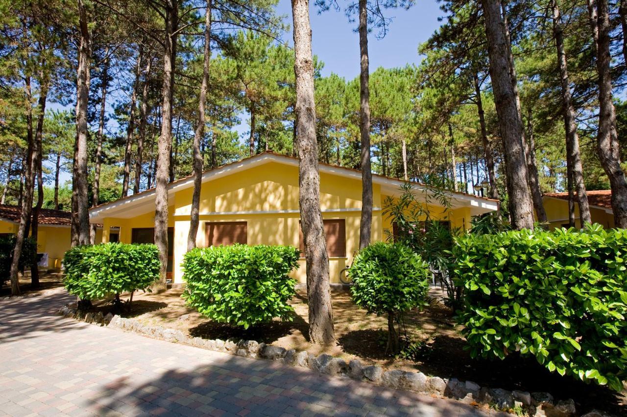 Villaggio Turistico Internazionale Bibione Buitenkant foto